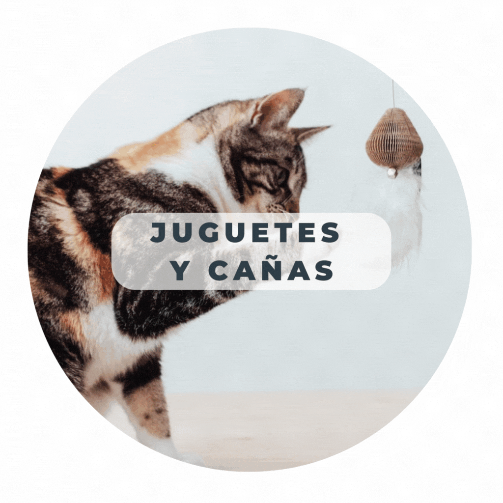 Juguetes y Cañas